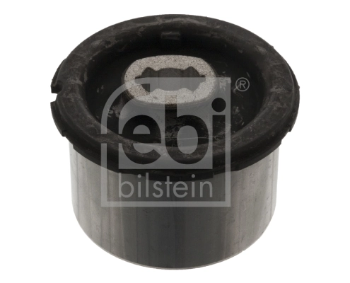 Mounting, control/trailing arm